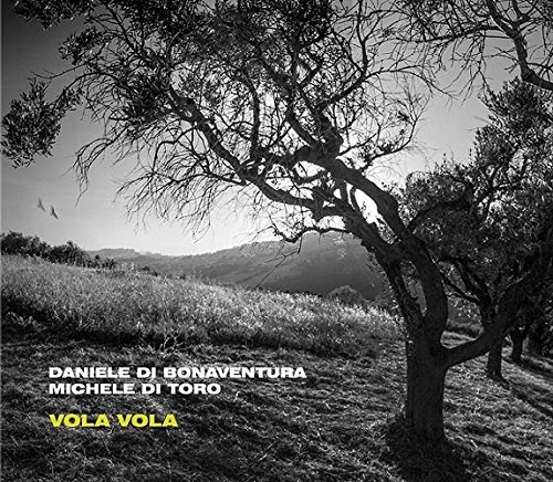 Vola Vola