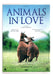 Animals In Love