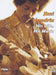 Jimi Hendrix - His Life, His Music - (Italian Import)