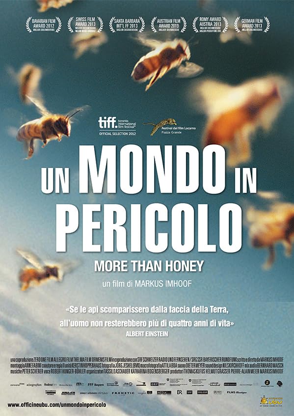 Un Mondo In Pericolo ( DVD