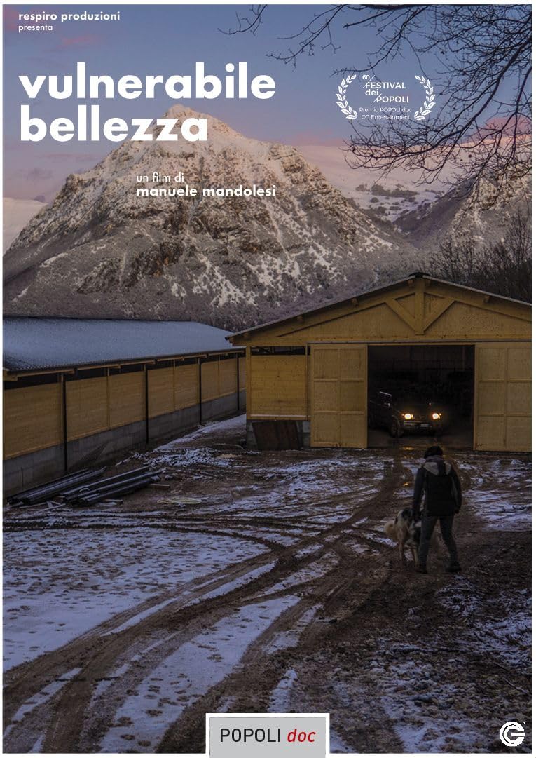 Dvd - Vulnerabile Bellezza (1 DVD