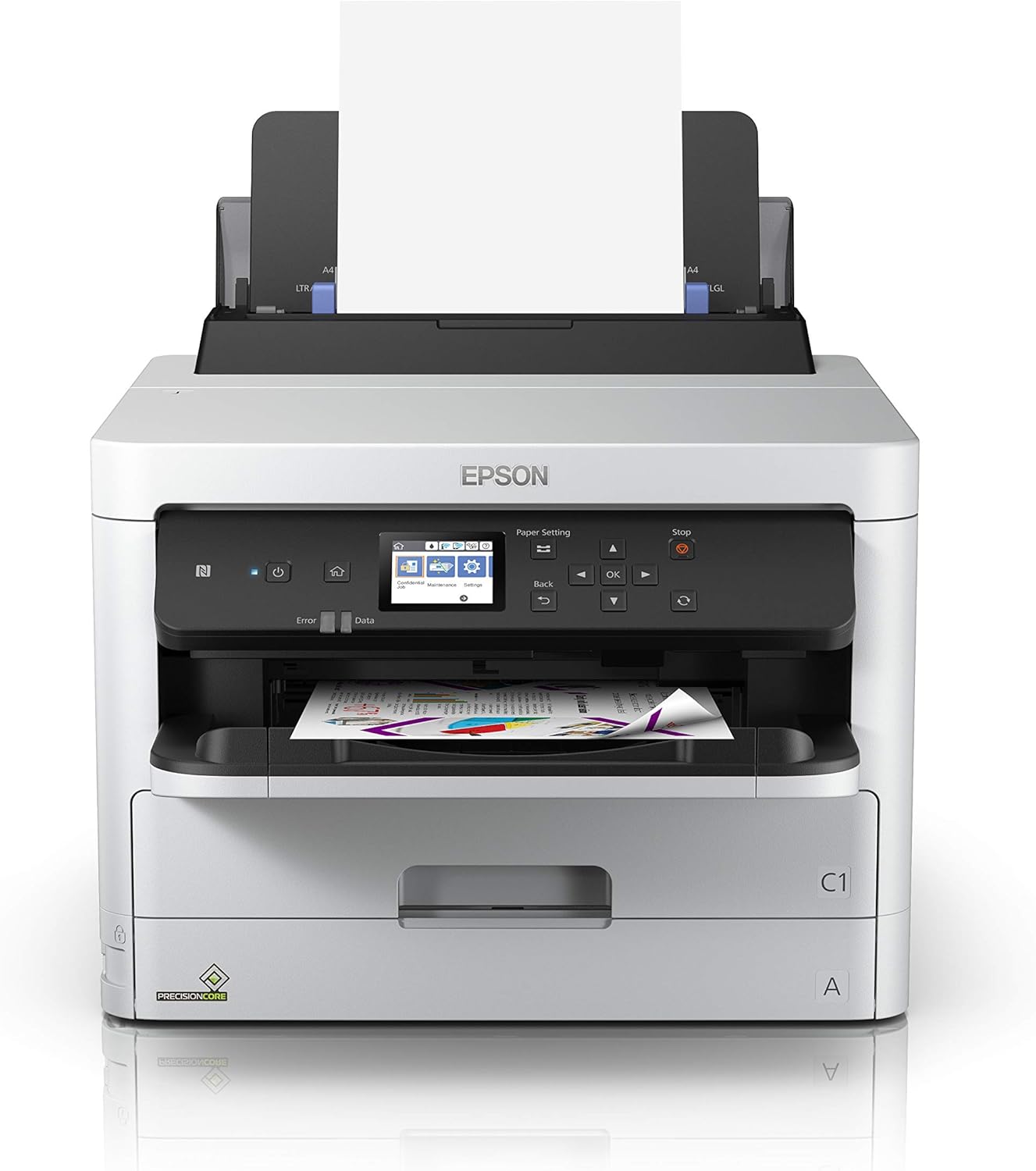 Epson TIN WorkForce Magenta XXL C13T01D300