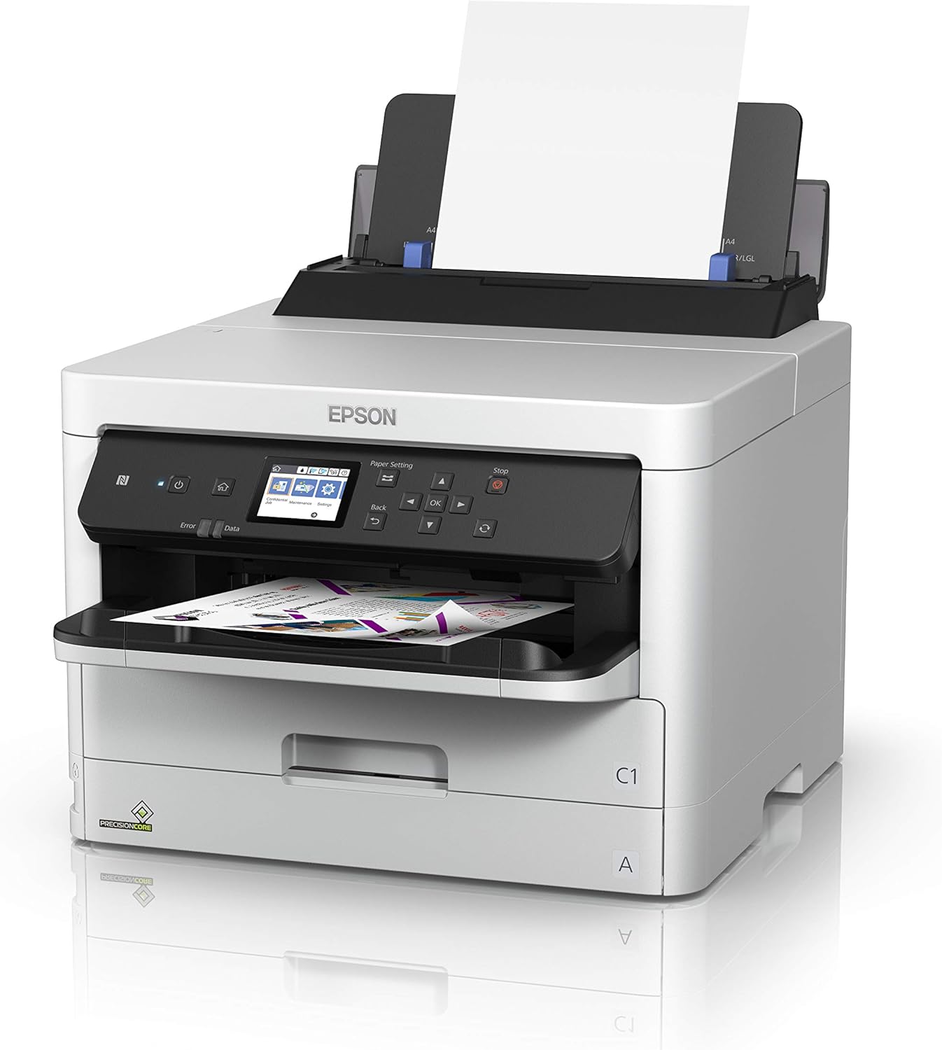 Epson TIN WorkForce Magenta XXL C13T01D300