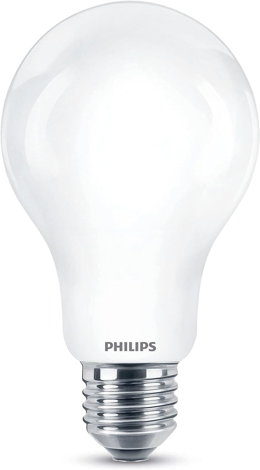 Led Lamp Philips Standard D 120 W 13 W E27 2000 Lm 7 X 12 Cm (2700 K)