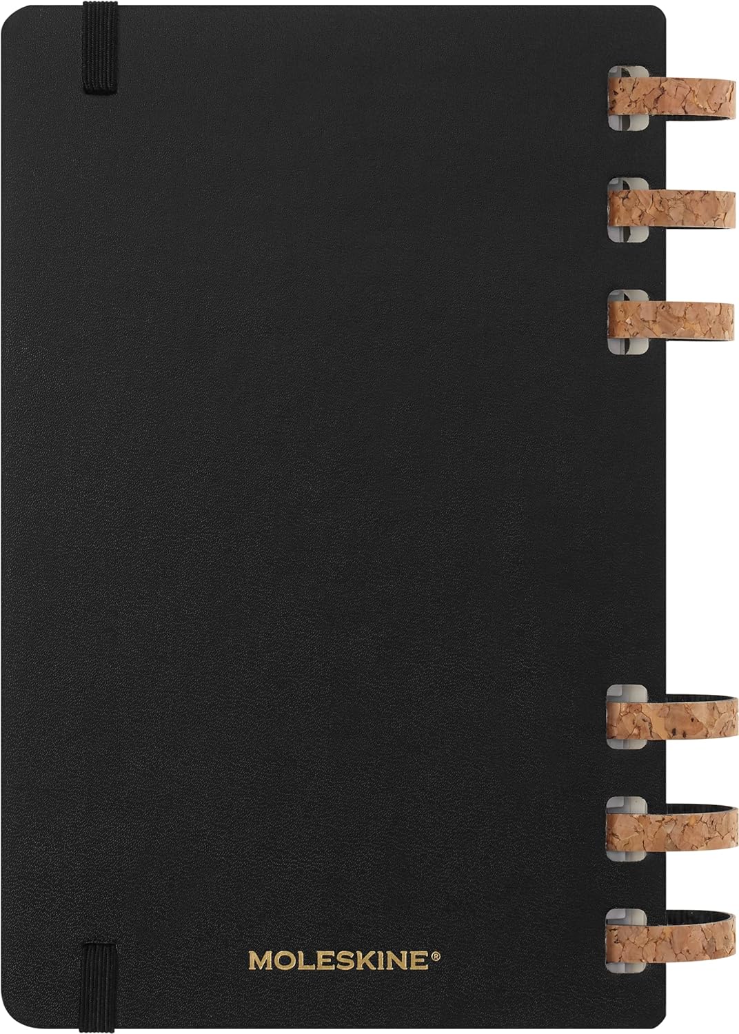 Moleskine Academic Monthly Planner 2023 -2024, 12-Month Weekly and Monthly Diary, University Agenda with Hard Cover, Size Large 15 x 21 cm