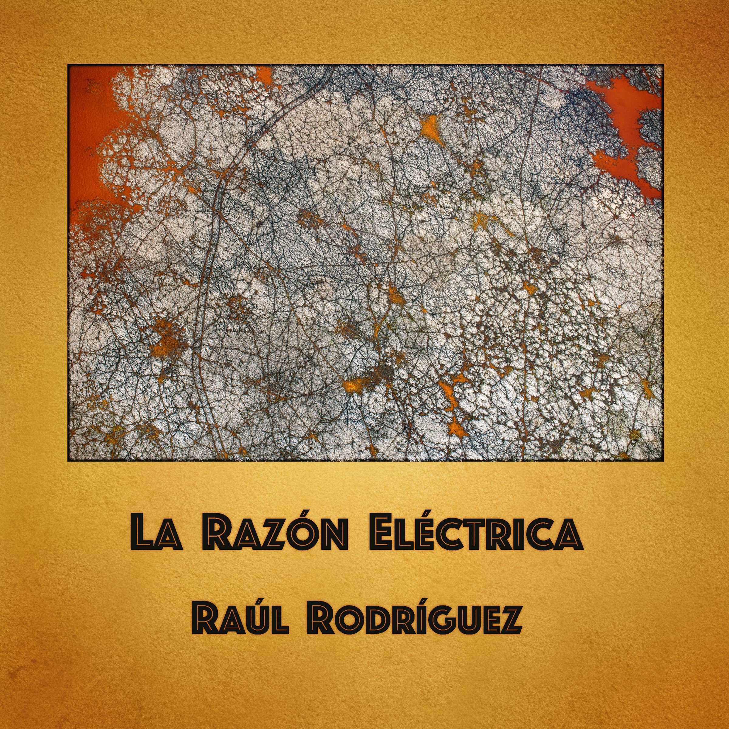LA RAZON ELECTRICA