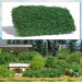 Busch 3598 shrub summer 35 mm