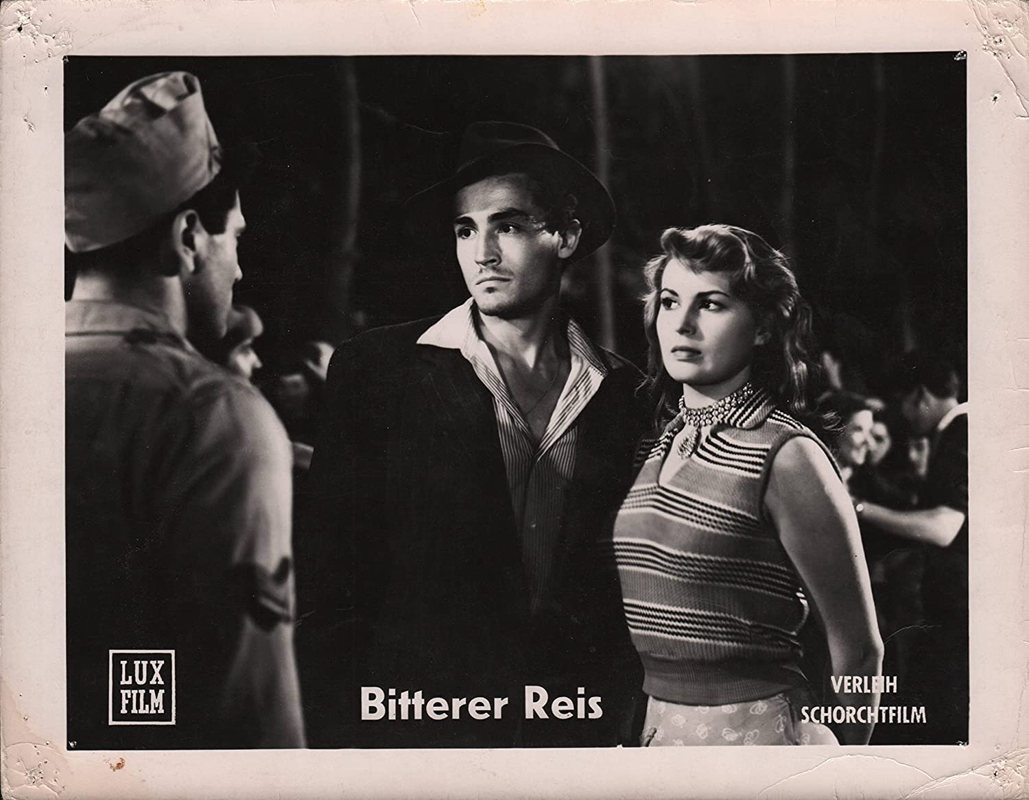 Bitterer Reis