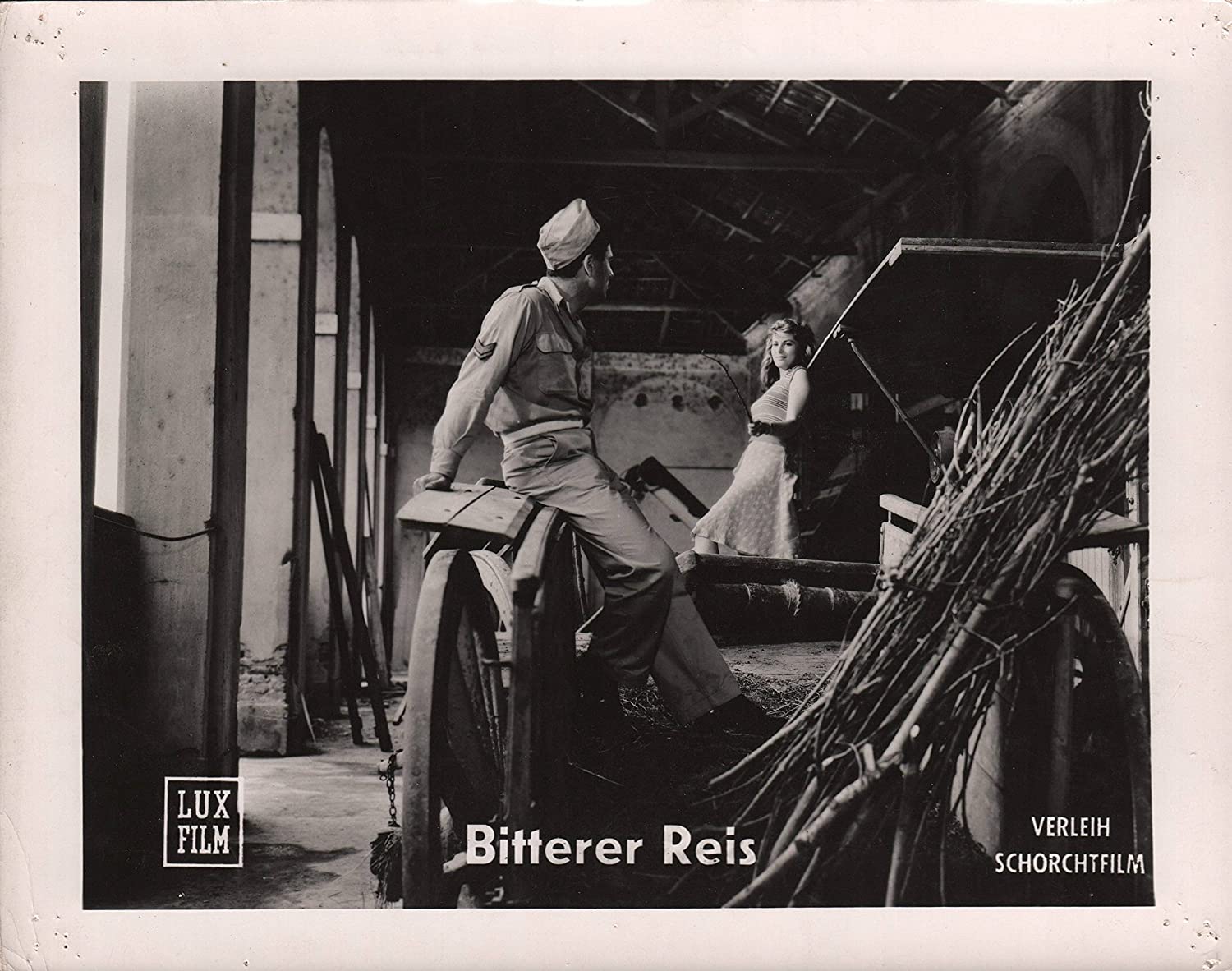 Bitterer Reis