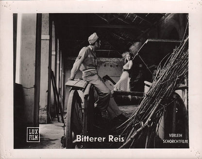 Bitterer Reis