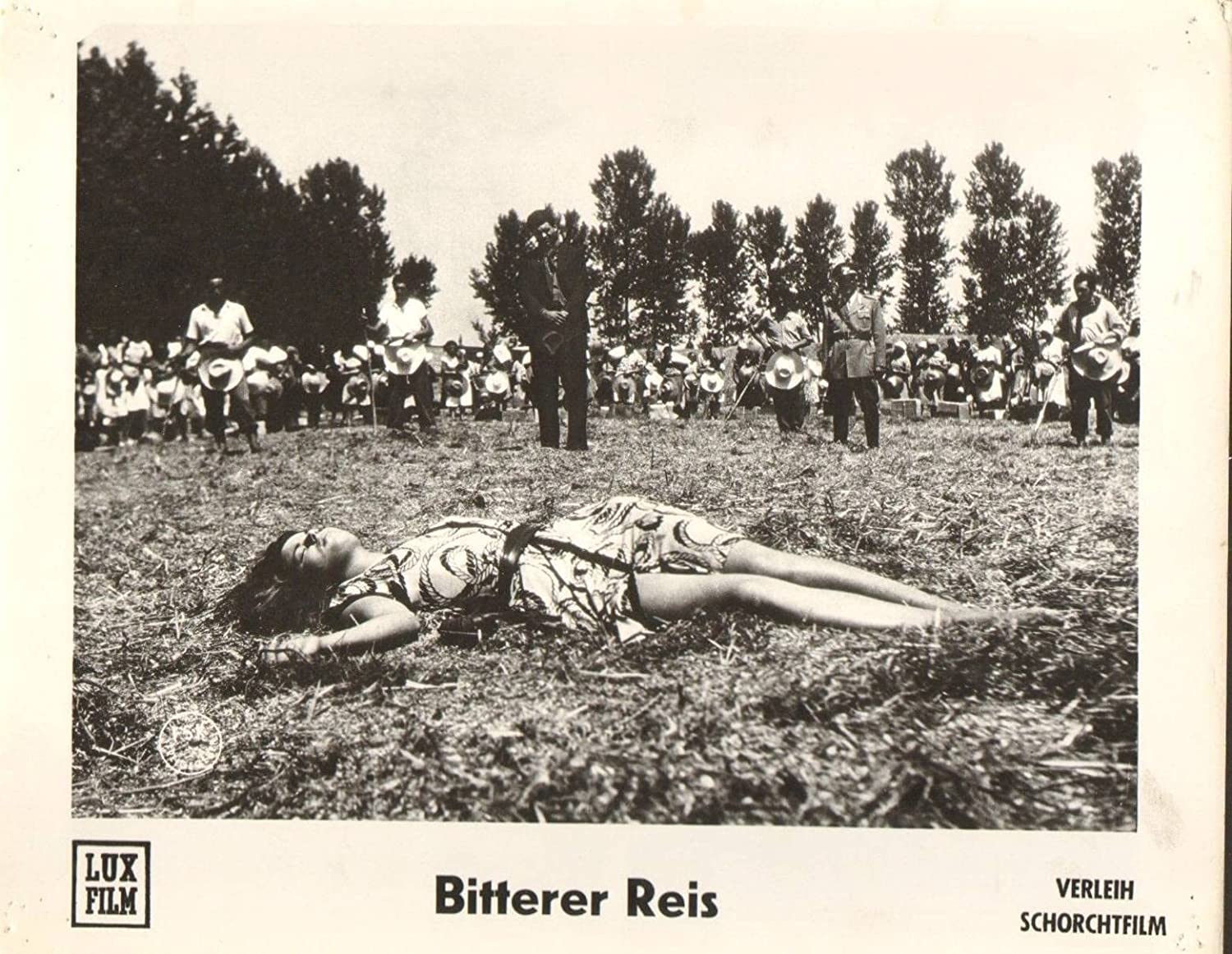 Bitterer Reis
