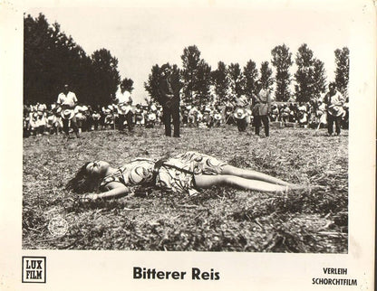 Bitterer Reis