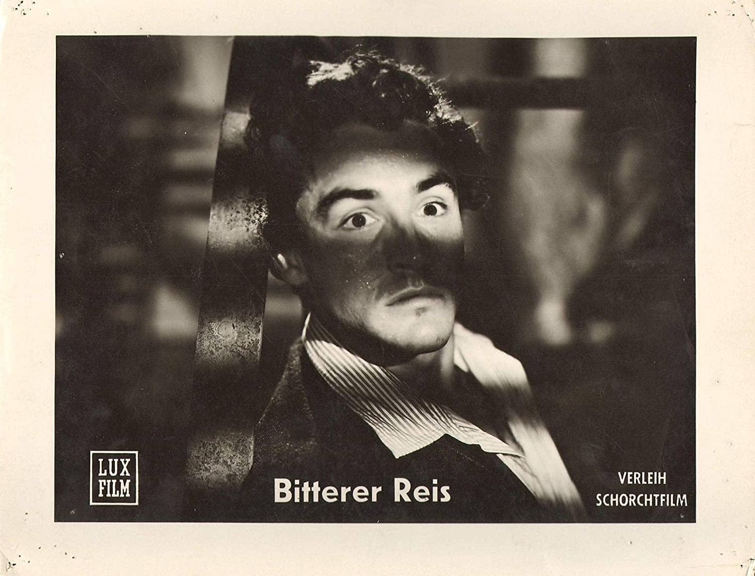 Bitterer Reis