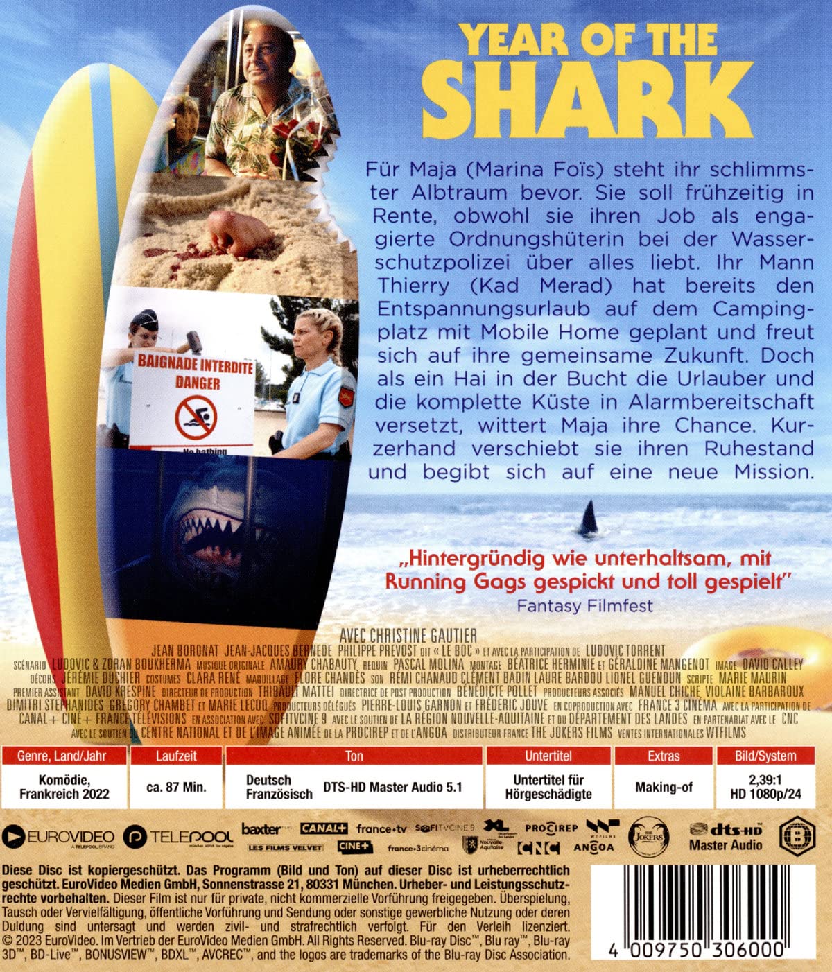 Year of The Shark