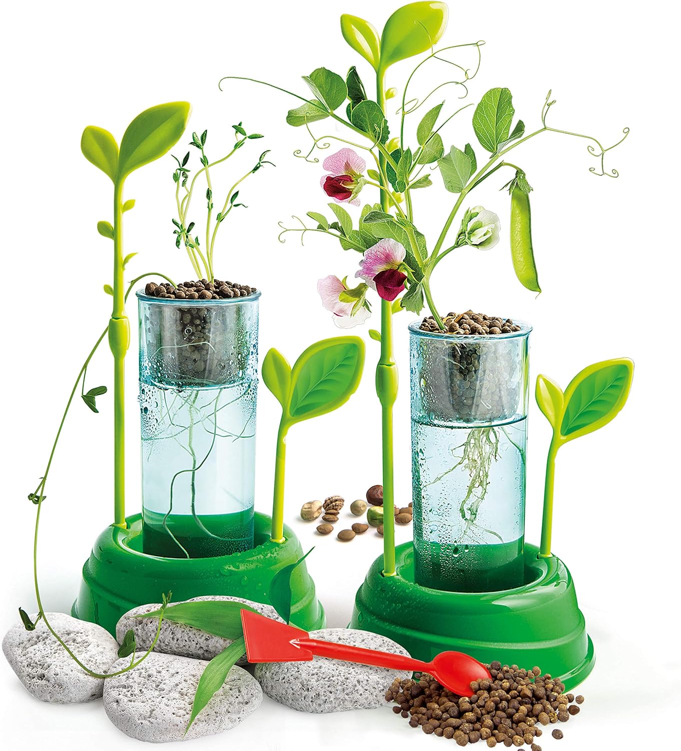 Clementoni Wetenschap en spel - Botanische & Hydrocultuur Wetenschapsspel voor kinderen, 8 jaar, meerkleurig, 19151