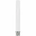 Antenna ZyXEL ANT2105-ZZ0201F