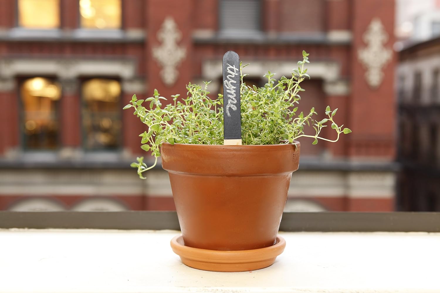 Reusable Garden Markers (Ga06)