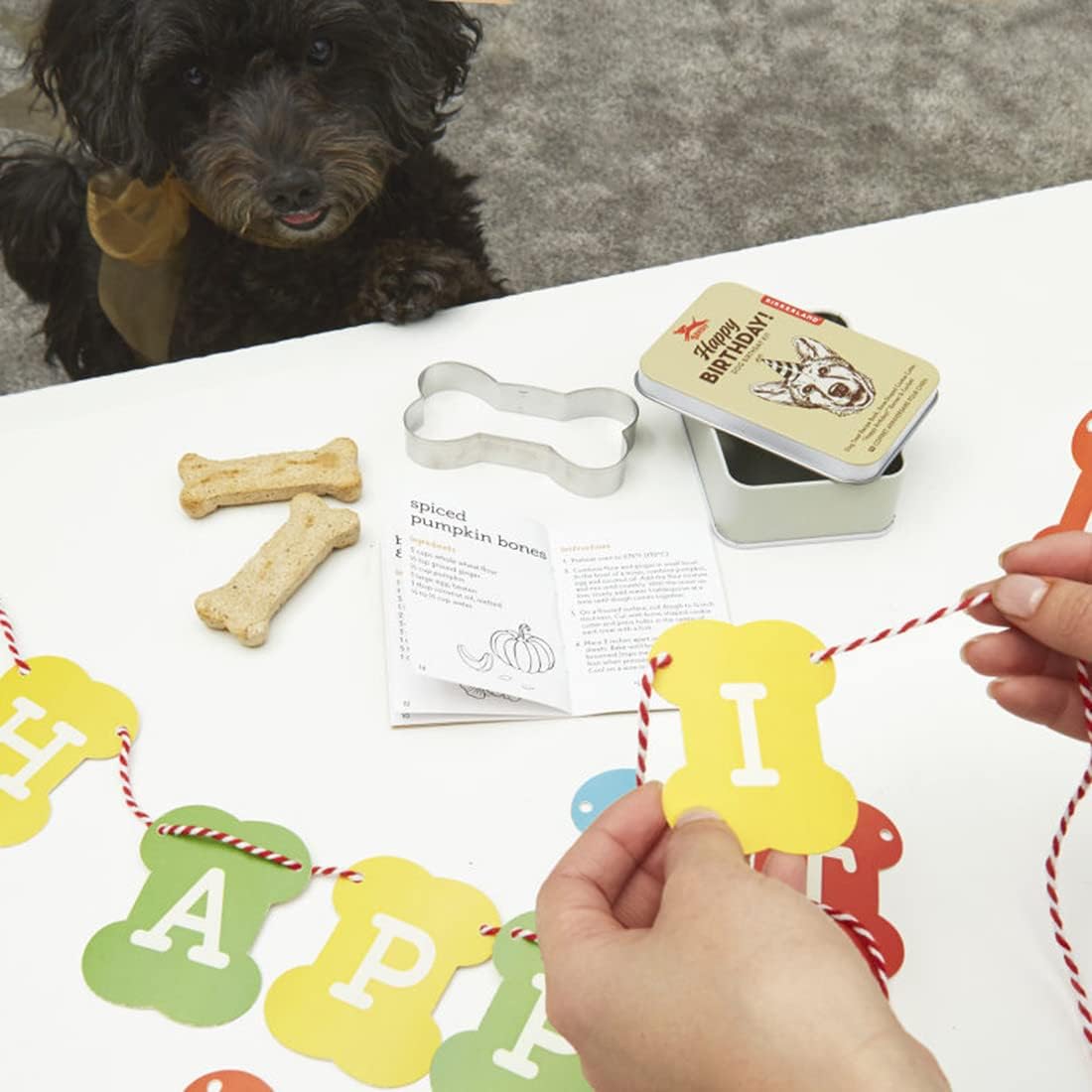 KIKKERLAND Happy Birthday! Dog Birthday Kit