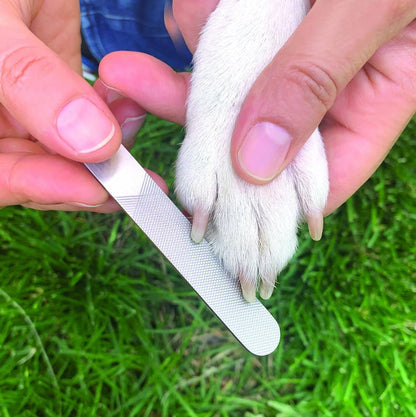 Kits marca KIKKERLAND modelo KIT DE ASEO PARA PERROS
