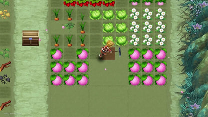 Rune Factory 3: Special (Switch