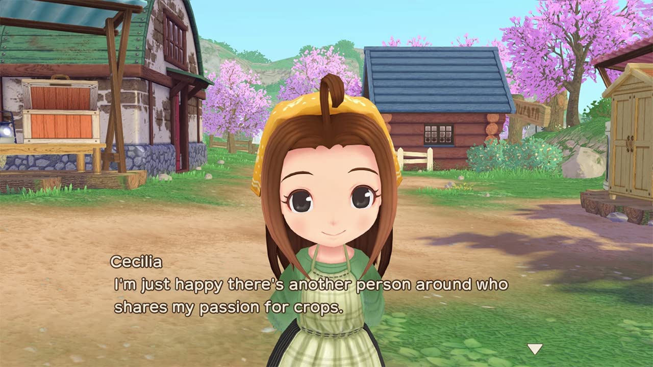 Story of Seasons: A Wonderful Life Nintendo Switch Wonderful Life