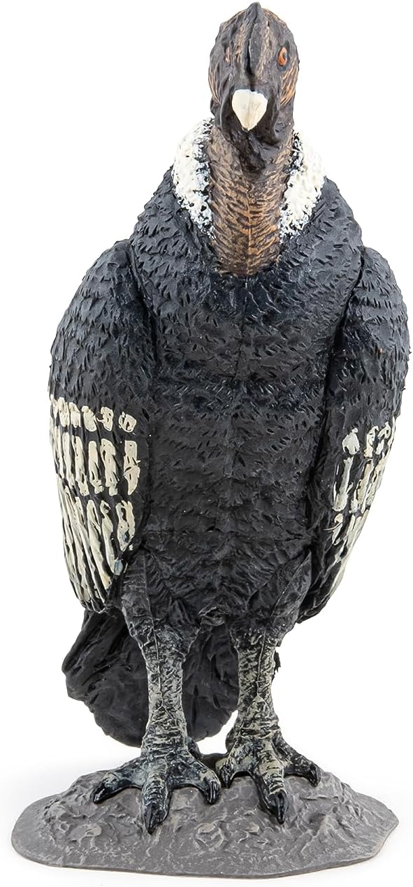 Papo Wild Animal Kingdom Condor Toy Figure Three Years And Above Black 50293