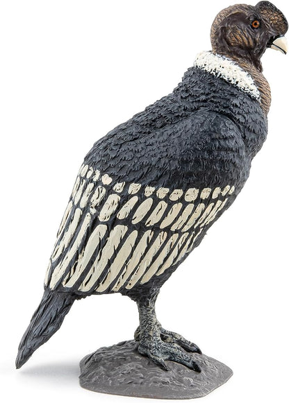 Papo Wild Animal Kingdom Condor Toy Figure Three Years And Above Black 50293