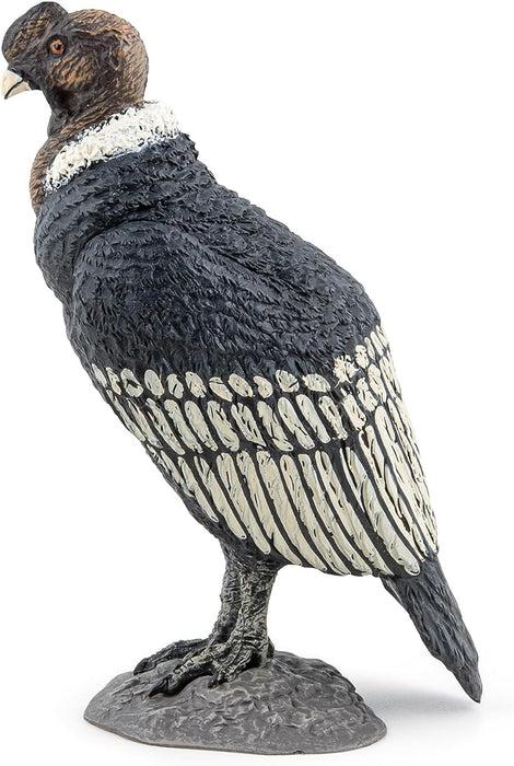 Papo Wild Animal Kingdom Condor Toy Figure Three Years And Above Black 50293