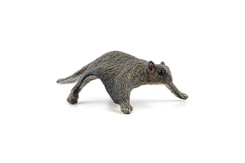 Papo - Collectable figures – Toy – Flying Squirrel – Wild Life – For Children – Girls and Boys – Ages 3 and up
