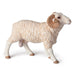 Papo FARMYARD FRIENDS Figurine, 51044 Boar, Multicolour