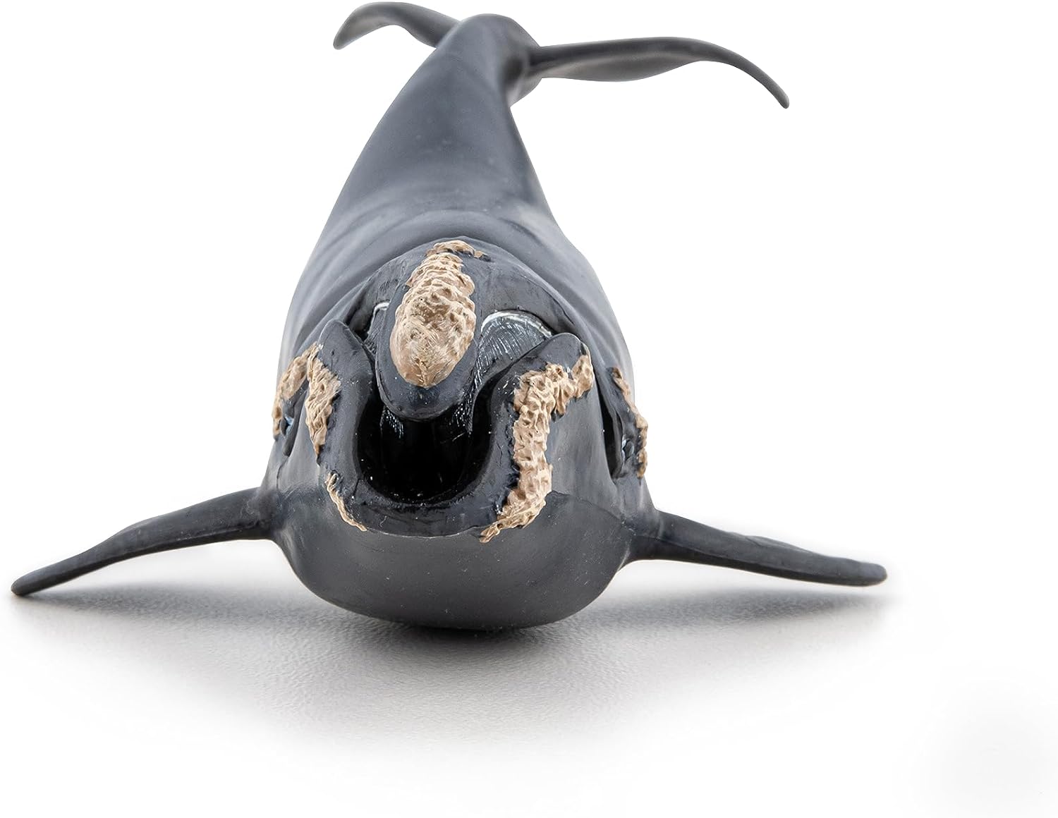 Papo Marine Life Right Whale Toy Figure Three Years And Above Black 56057