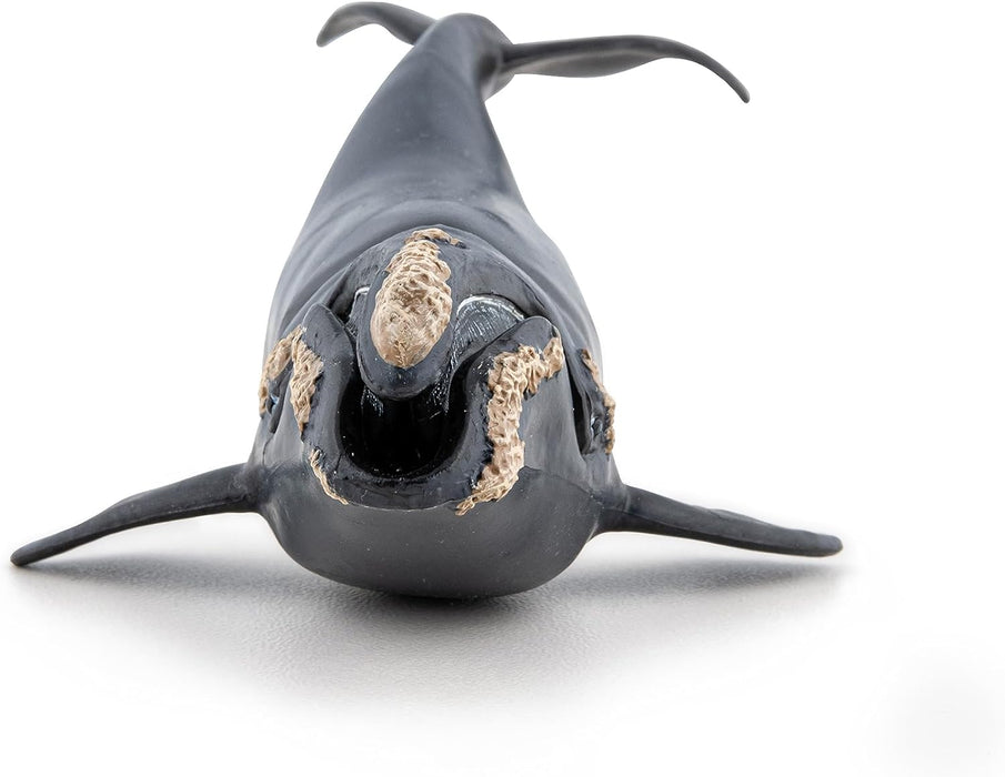 Papo Marine Life Right Whale Toy Figure Three Years And Above Black 56057