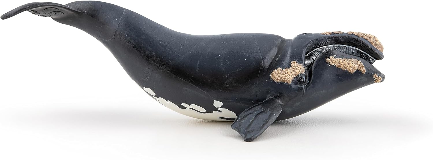 Papo Marine Life Right Whale Toy Figure Three Years And Above Black 56057