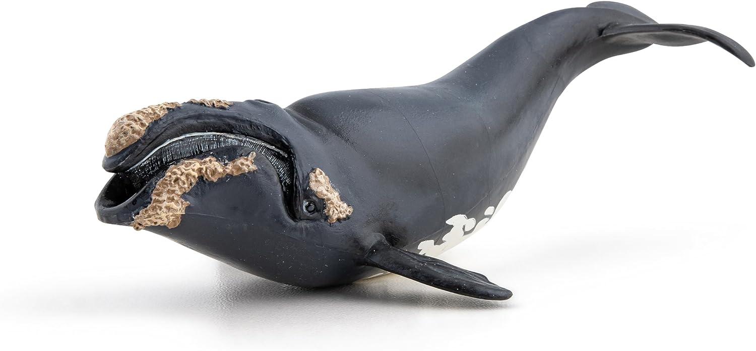 Papo Marine Life Right Whale Toy Figure Three Years And Above Black 56057