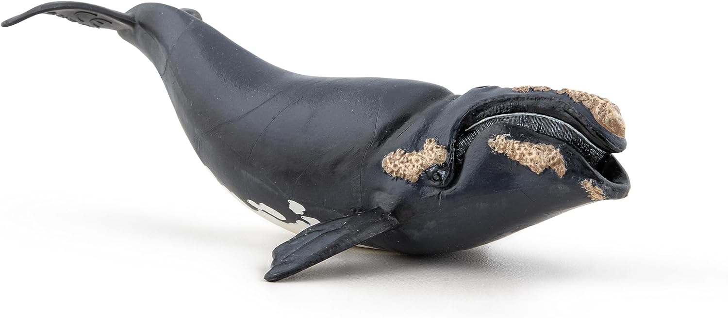 Papo Marine Life Right Whale Toy Figure Three Years And Above Black 56057