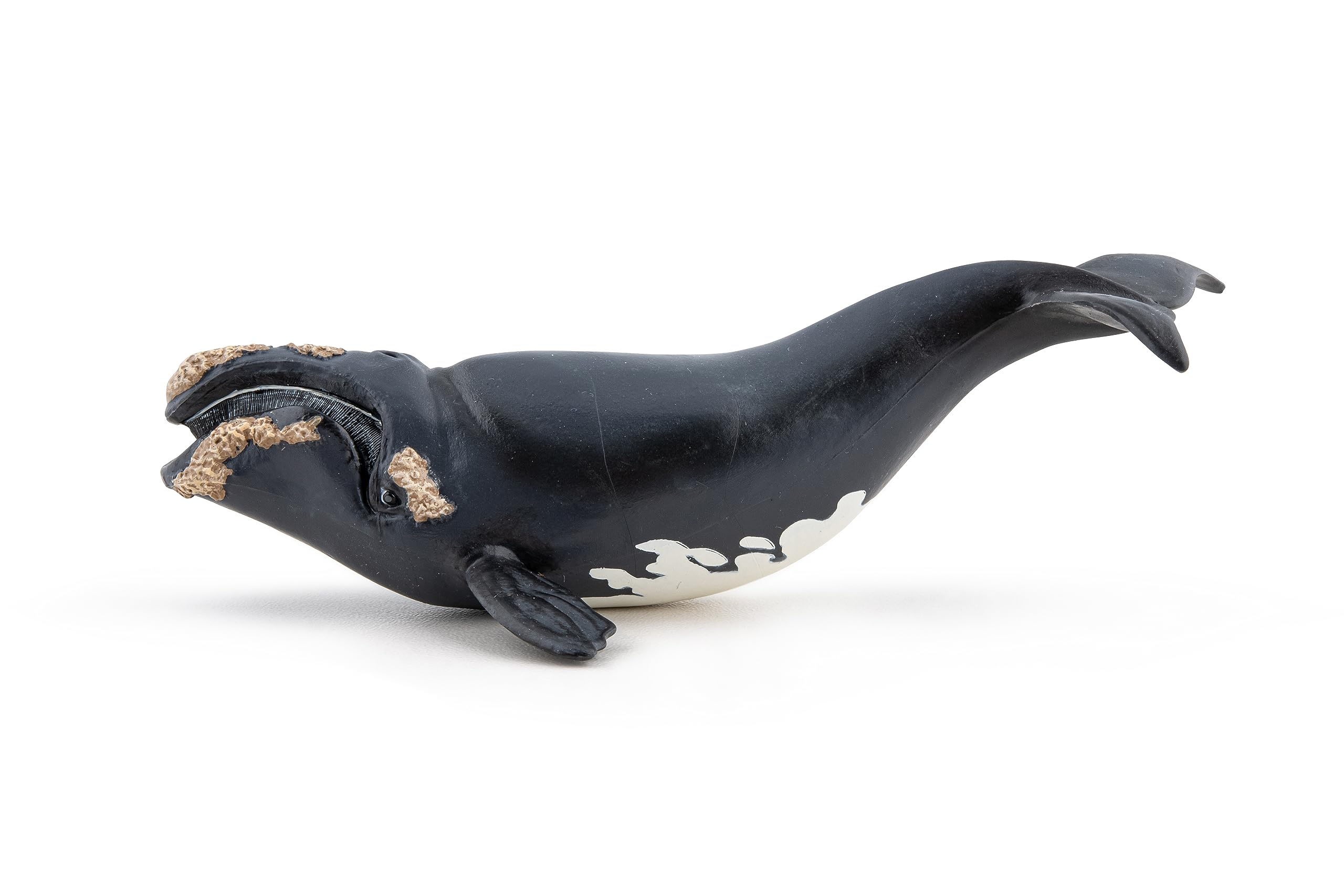 Papo Marine Life Right Whale Toy Figure Three Years And Above Black 56057