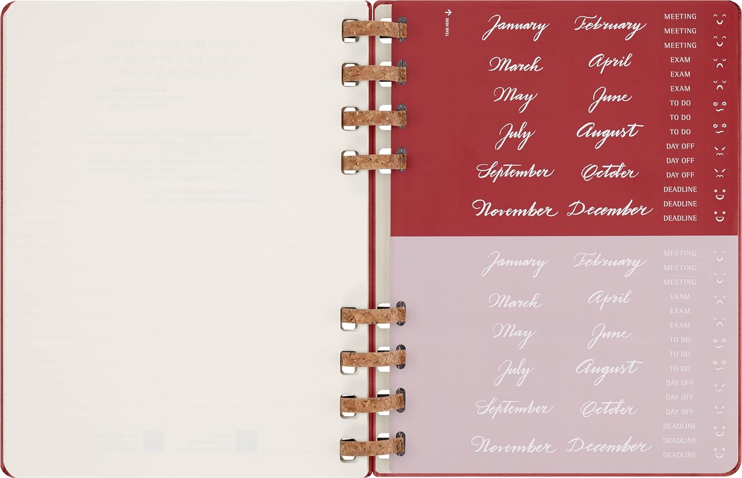 Moleskine Undated Planner, 12-Month Spiral Planner with Hard Cover, Size XL 20 x 25 cm