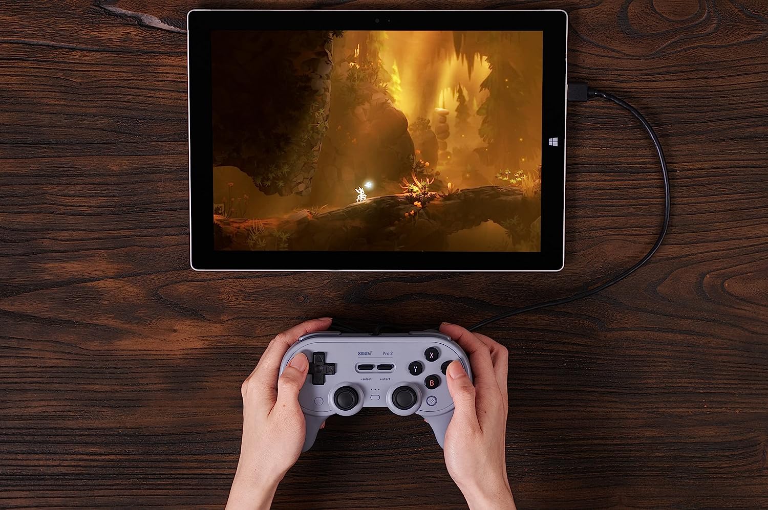 8Bitdo Pro 2 Wired USB Controller for Switch, PC, Android, Steam & Raspberry Pi (Grey Edition) (Nintendo Switch