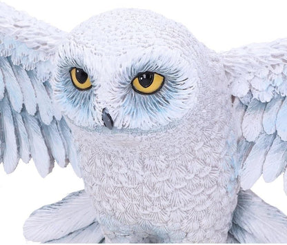 Harry Potter Wandschmuck Hedwig 45 cm