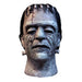 Trick or Treat Universal Monsters House of Frankenstein Mask