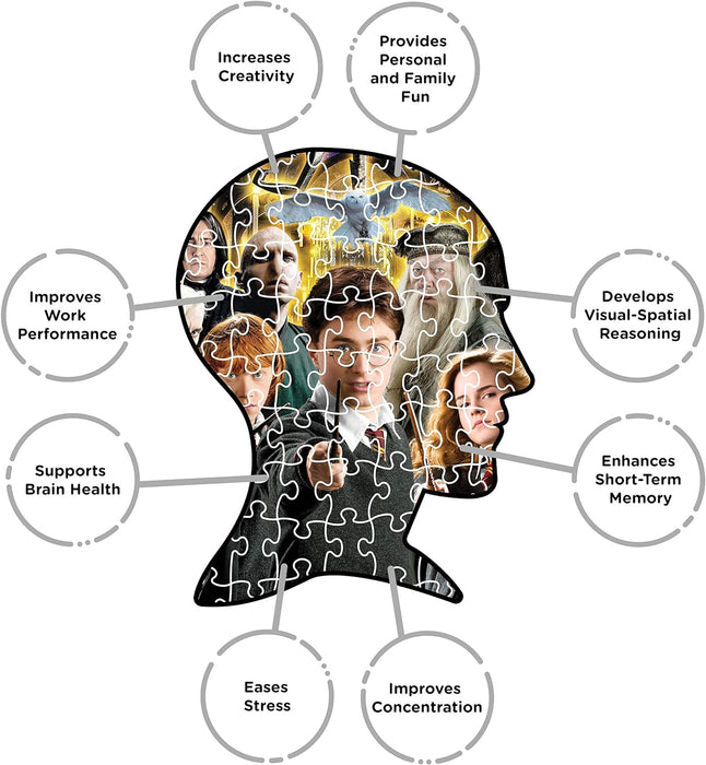 HARRY POTTER-Aquarius Collage 1000 pc Puzzle, Multicolor, (NMR Distribution 65291