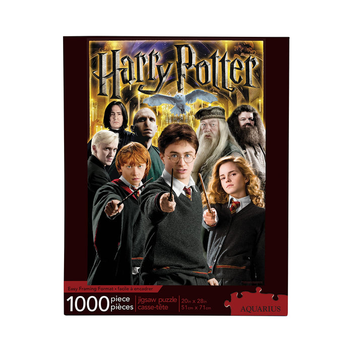 HARRY POTTER-Aquarius Collage 1000 pc Puzzle, Multicolor, (NMR Distribution 65291