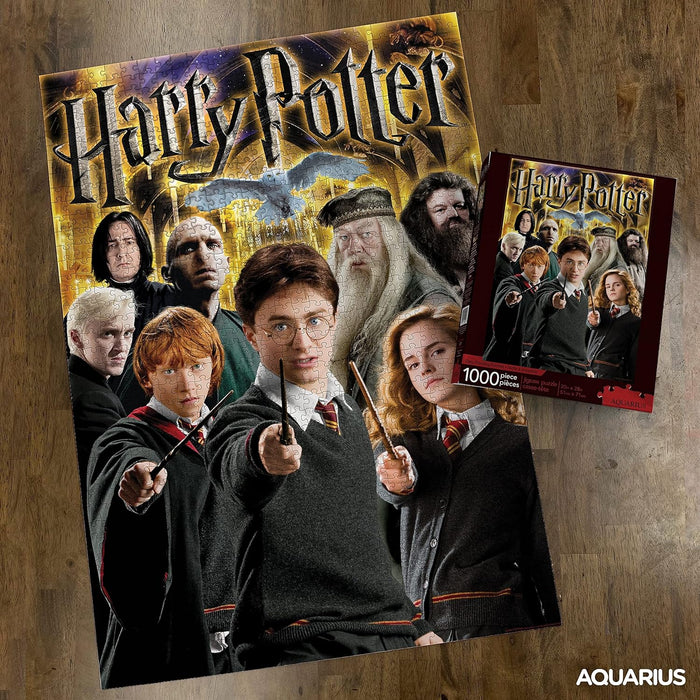 HARRY POTTER-Aquarius Collage 1000 pc Puzzle, Multicolor, (NMR Distribution 65291