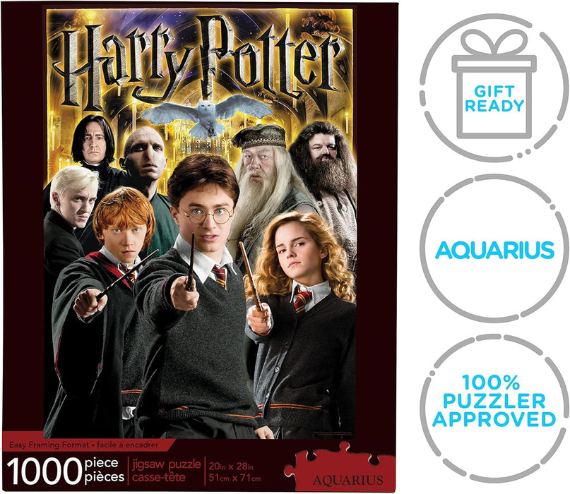 HARRY POTTER-Aquarius Collage 1000 pc Puzzle, Multicolor, (NMR Distribution 65291