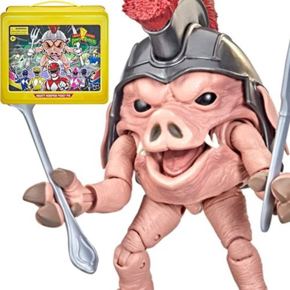 Power Rangers Con Item (Hasbro F04945L1