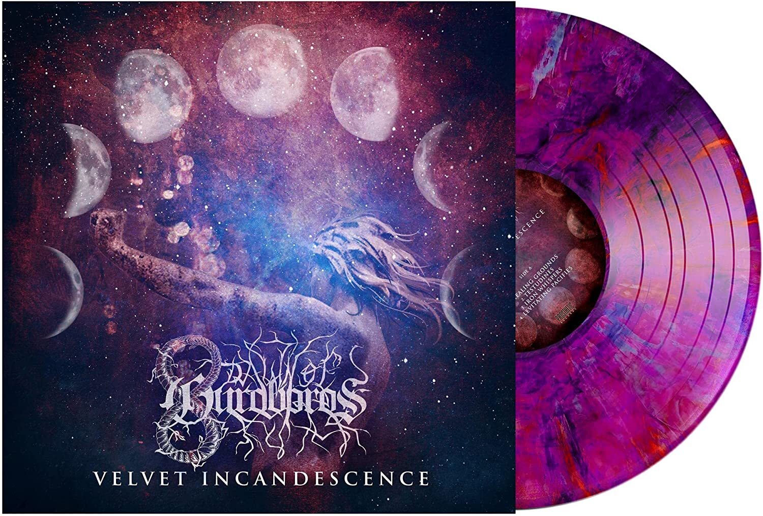 Velvet Incandescence