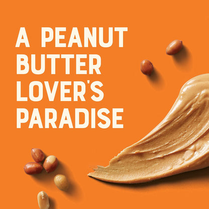 Clif Nutbutter Peanut 12Pc