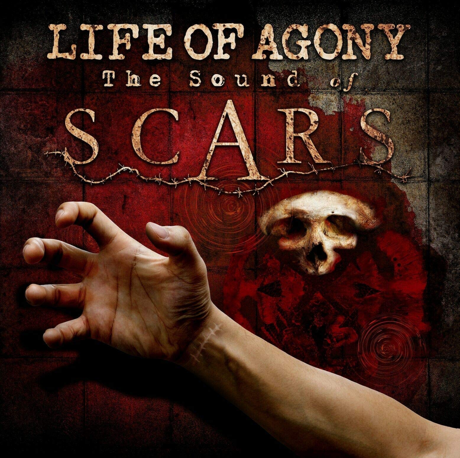 Sound Of Scars