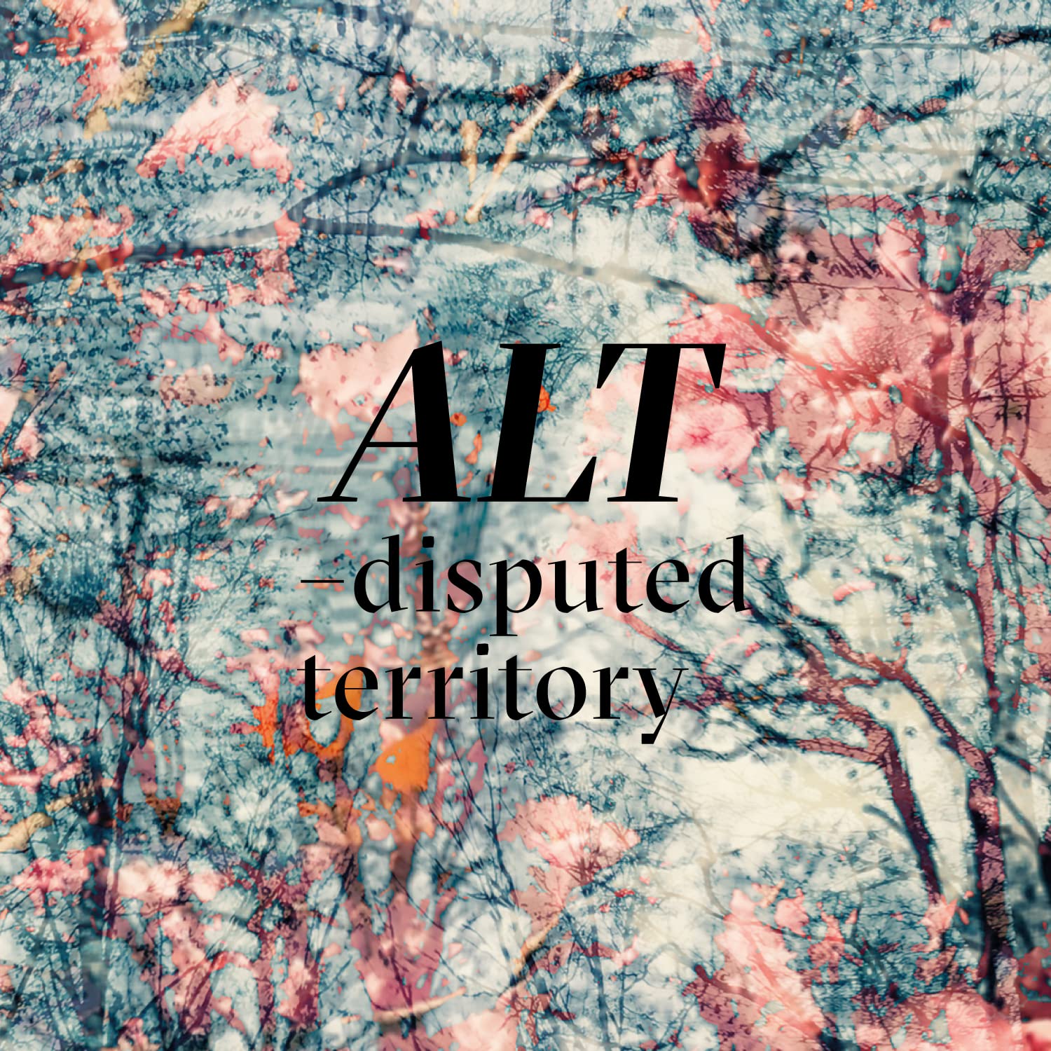 Disputed Territory