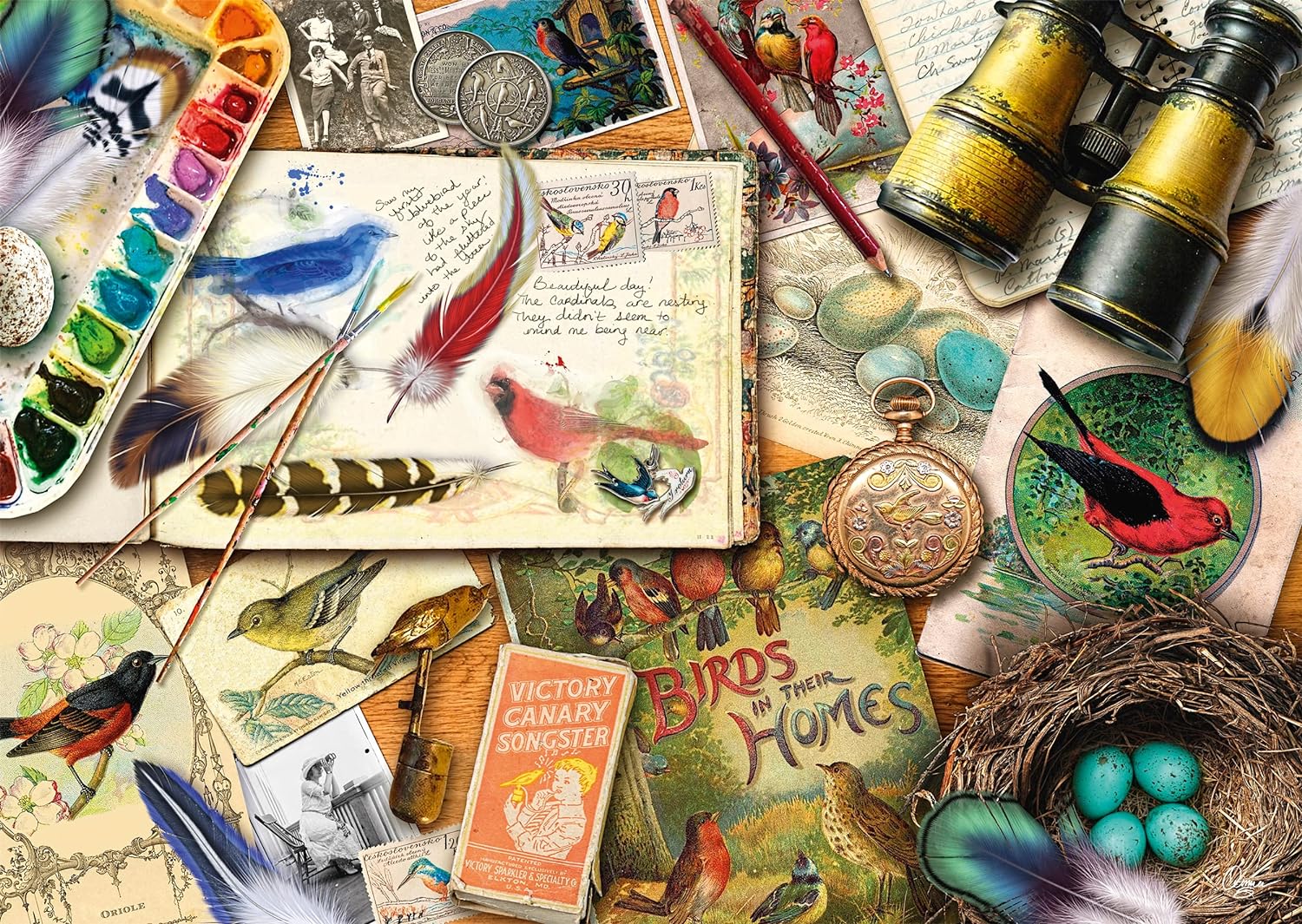 Schmidt | Aimee Stewart: Birdwatching (1,000 pieces) | Jigsaw Puzzle | Ages 12+